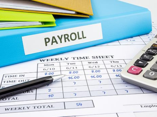 Payroll Services in Enfield | RTI & Auto Enrolment Experts